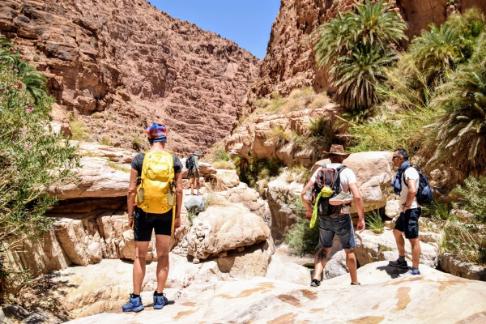 Guided Tours in Wadi Ghwair